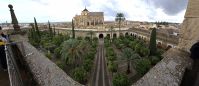 PICTURES/Cordoba - Mosque-Cathedral Bell Tower/t_20231029_140325.jpg